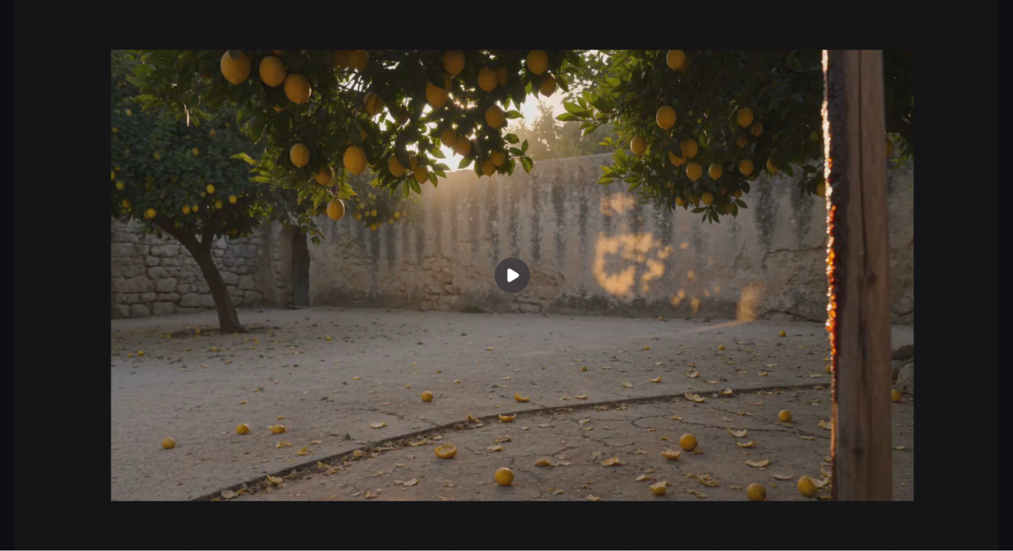 Still from generated video for Maison Margiela REPLICA Under The Lemon Tree